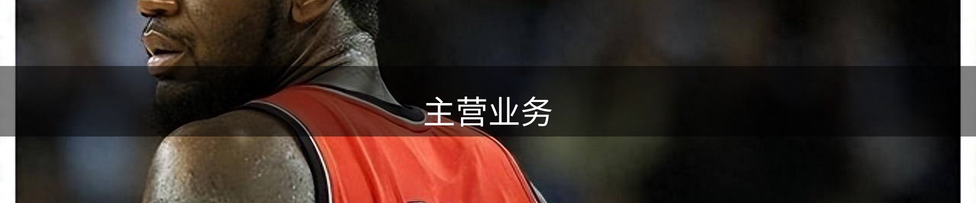 主营业务